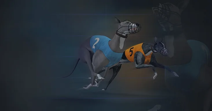 Virtual Greyhound Racing